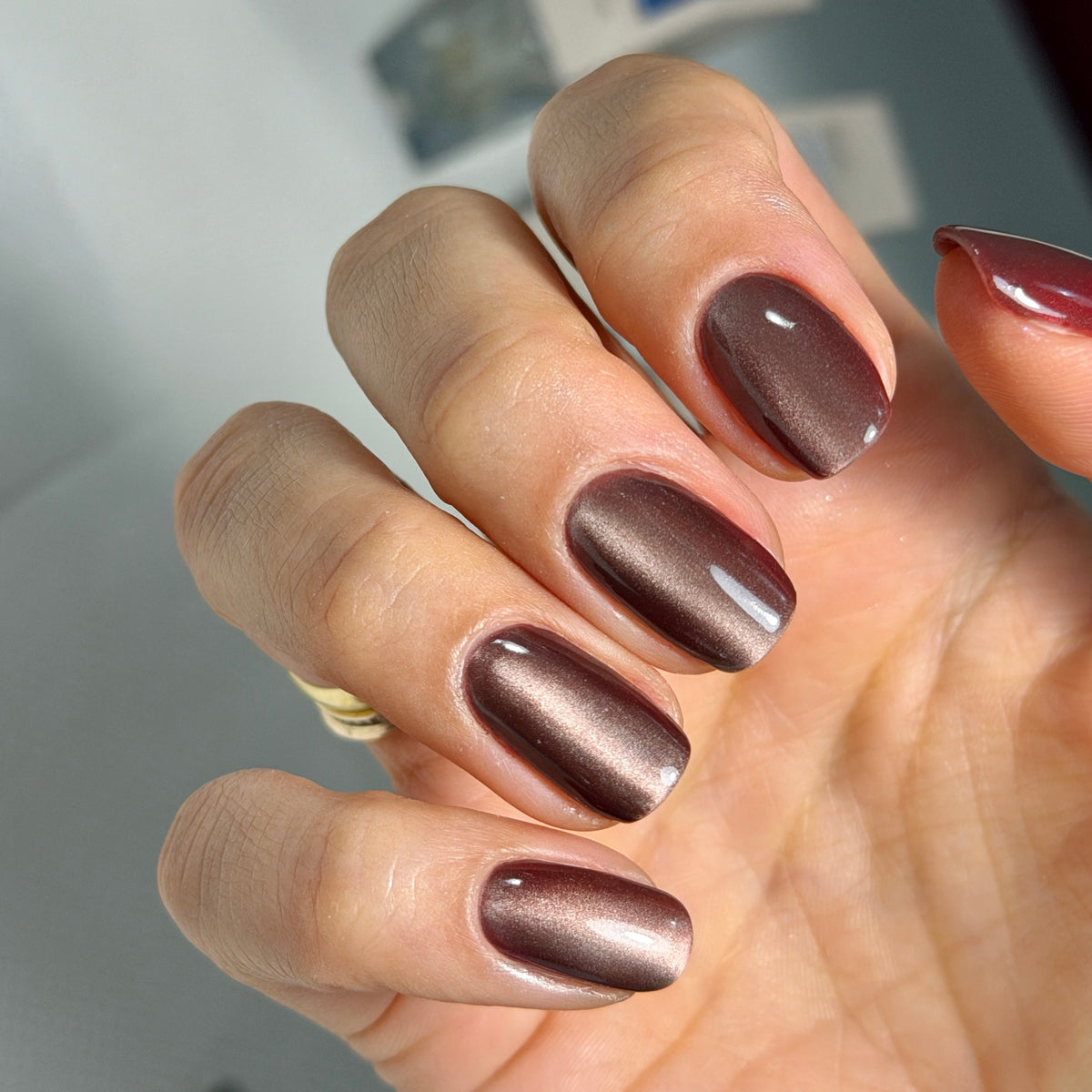 Pyłek do Paznokci Silky Cat Eye