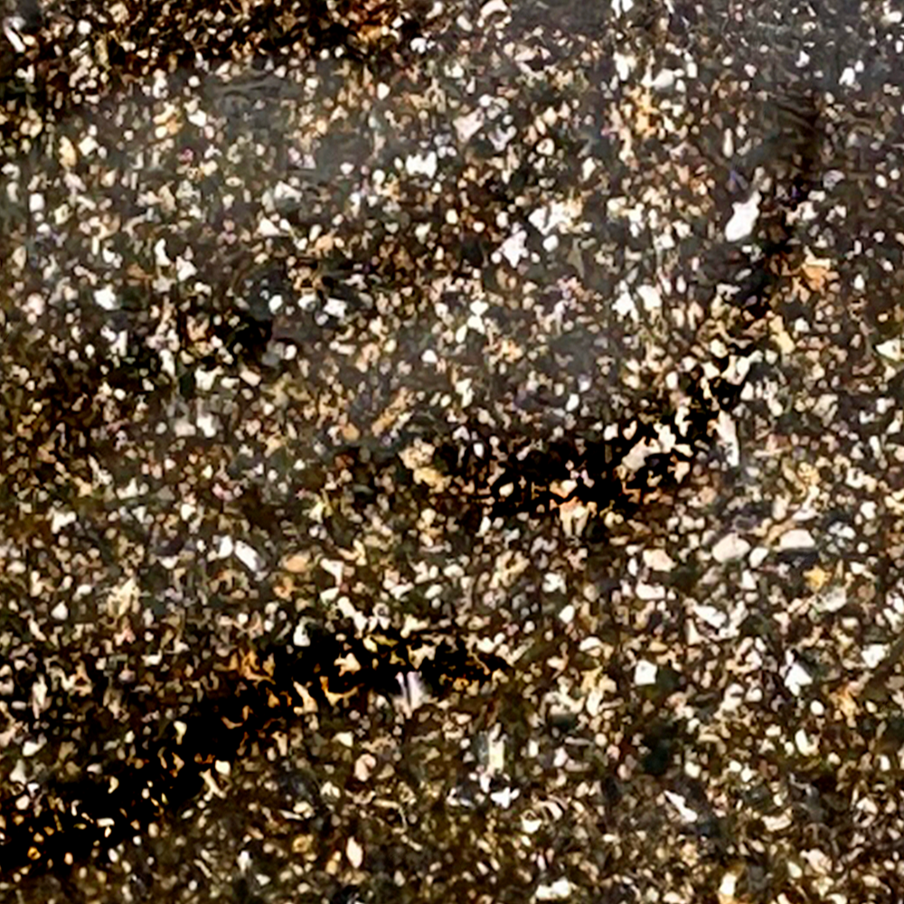 LH030-10-color-kolor-Lakier-Hybrydowy-Gel-Polish-030-Starlight-Złoty-Brokat